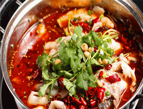 尚可鮮魚(yú)火鍋加盟