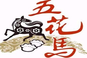 五花馬美術(shù)創(chuàng)意空間加盟