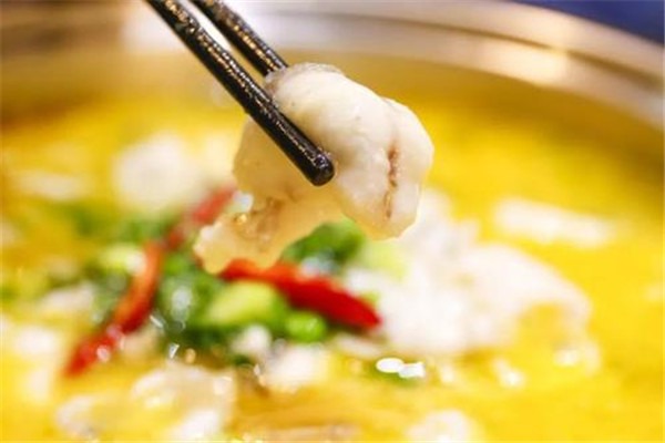 魚你有約酸菜魚加盟