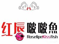紅唇啵啵魚加盟
