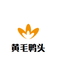 黃毛鴨頭加盟