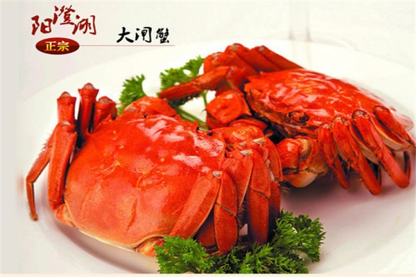 山水蟹莊陽澄湖農家樂加盟
