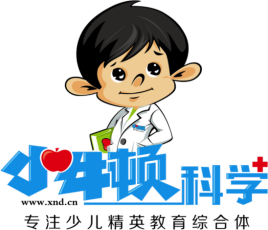 小牛頓教育加盟