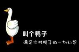 叫個鴨子加盟
