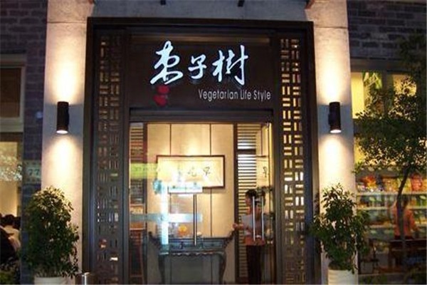 棗子樹(shù)素食餐廳加盟