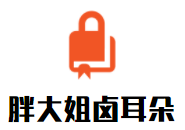 胖大姐鹵耳朵加盟