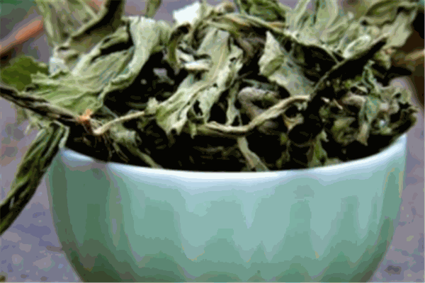 湘茶加盟