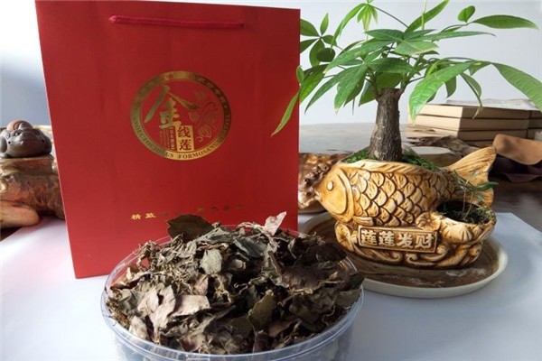 農(nóng)博金草金線蓮加盟