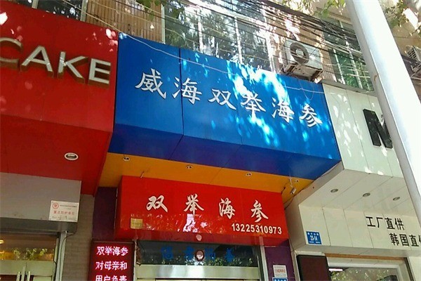 雙舉海參