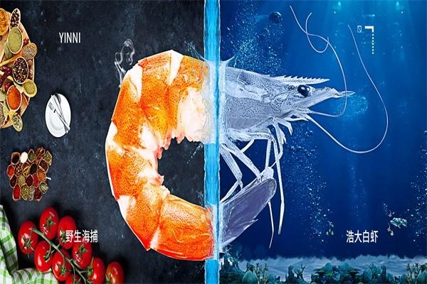 浩大極鮮