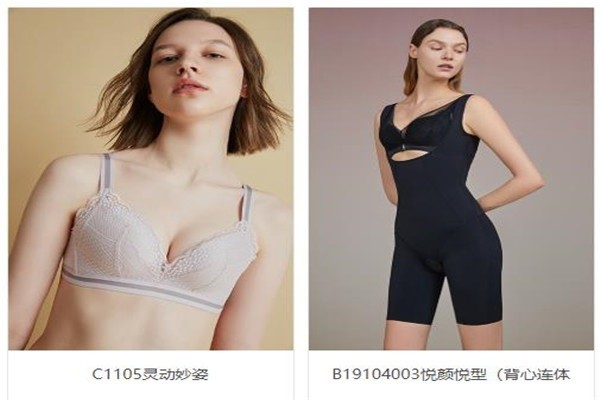 梵妳卡波內(nèi)衣