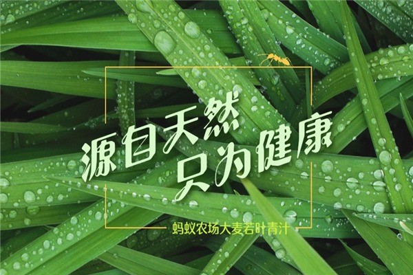 螞蟻農(nóng)場