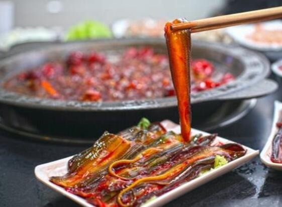 重慶孔亮鱔魚(yú)火鍋