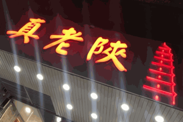 真老陜