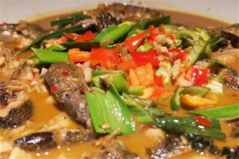 先進(jìn)魚館