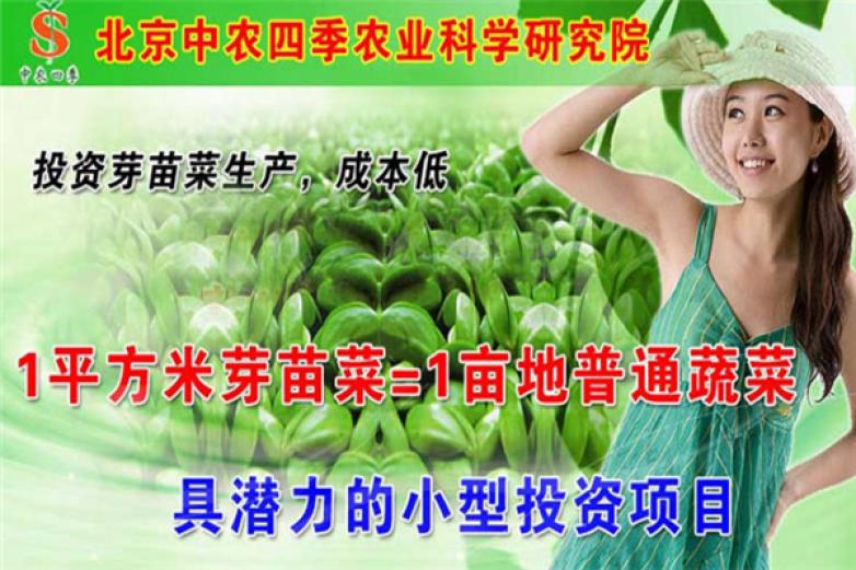 菜立方芽苗菜