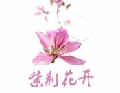 紫荊花開產(chǎn)后恢復(fù)中心加盟