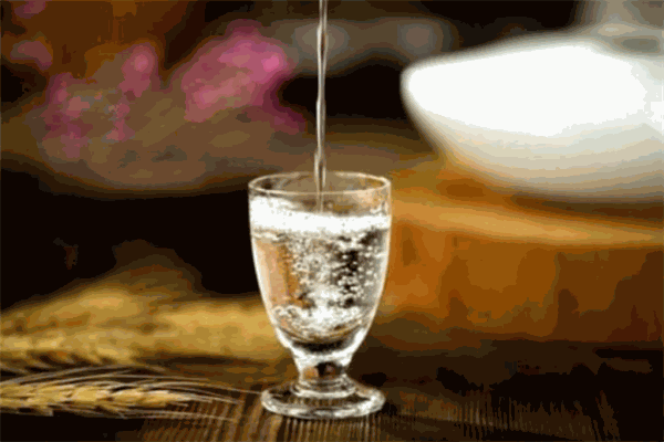 喜仕登駝峰酒加盟
