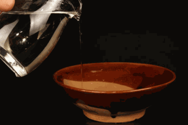 八一金樽白酒加盟