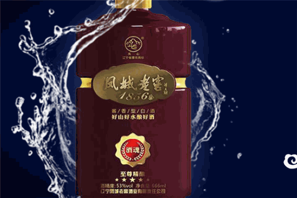鳳城老窖酒加盟