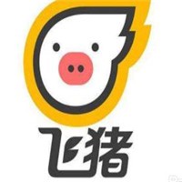飛豬專車司機(jī)加盟