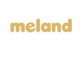 meland club兒童樂園加盟