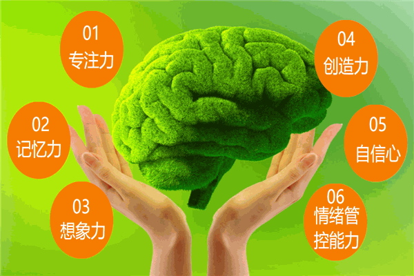 智心泉腦潛能開發(fā)加盟
