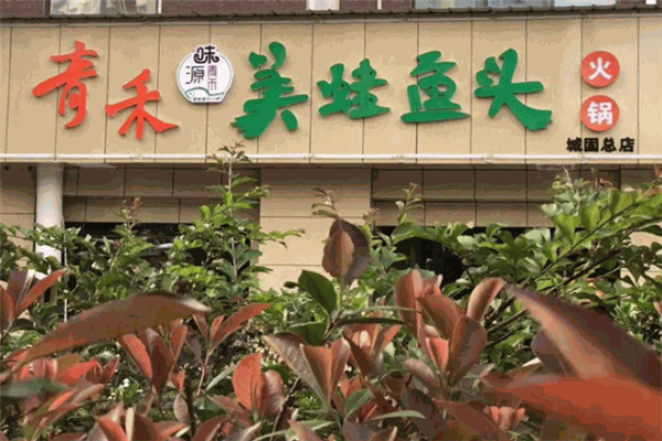 青禾美蛙魚(yú)頭火鍋加盟