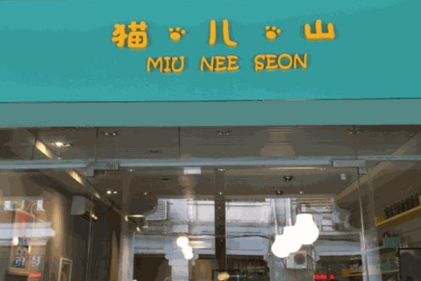 貓兒山貓主題休閑餐廳