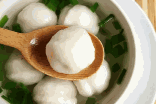 麗勇魚(yú)丸加盟