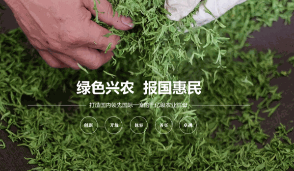 八角亭普洱茶