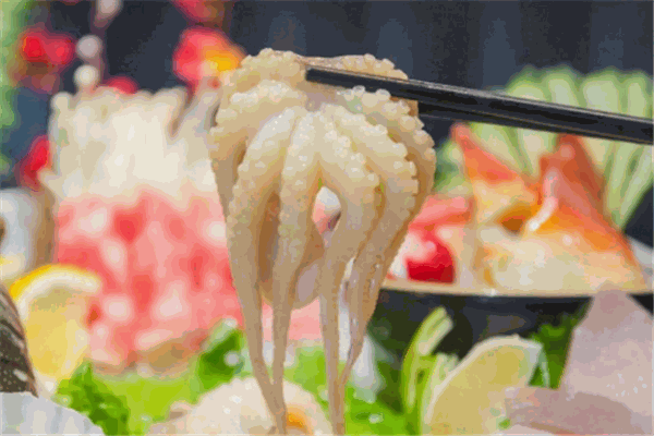 八爪魚(yú)火鍋加盟