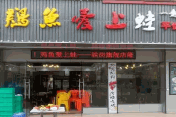 雞魚愛上蛙加盟