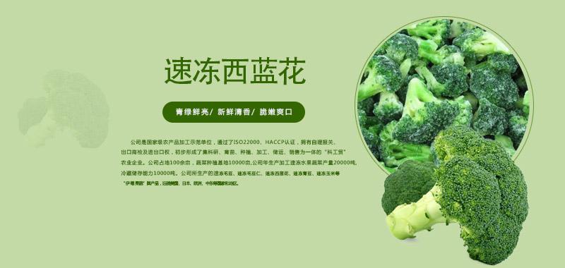 陽光農(nóng)業(yè)