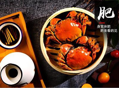 蟹莊緣陽澄湖大閘蟹