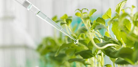 彩虹生物