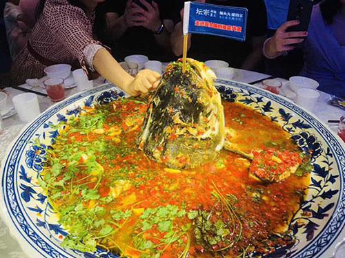 大臉魚剁椒魚頭