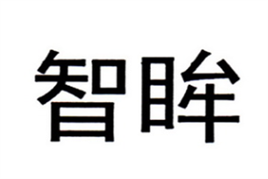 智眸智能家居加盟