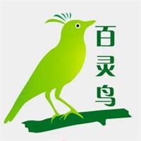 百靈鳥快遞驛站加盟