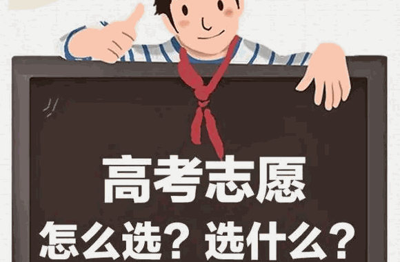 高考圈高考志愿填報咨詢