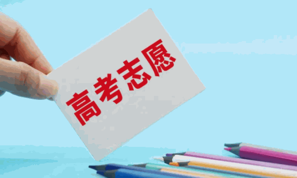 高考圈高考志愿填報咨詢