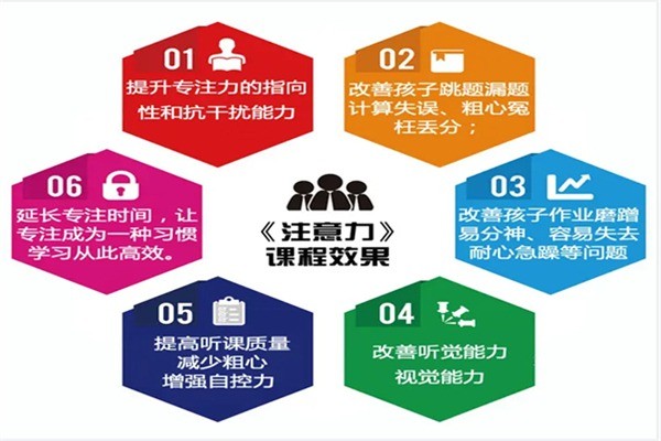 青大全腦加盟