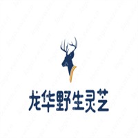 龍華野生靈芝加盟