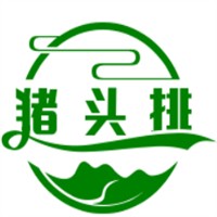 豬頭排加盟