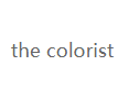 thecolorist彩妝集合店加盟
