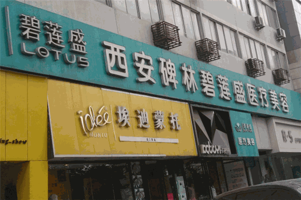 碧蓮盛植發(fā)品牌圖片