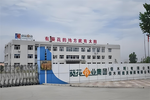 藥店排名前十的連鎖加盟：熱門品牌大公開