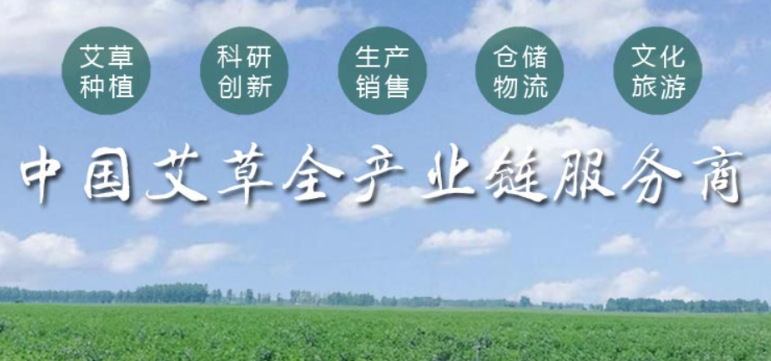 國醫(yī)仲景艾灸館品牌圖片