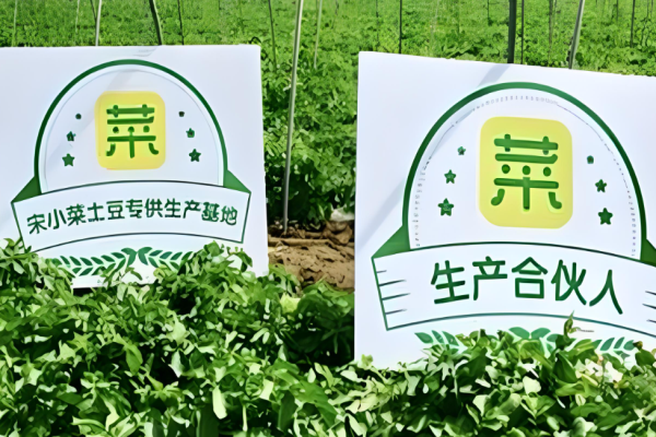 超市加盟店排行榜前十名？高收益超市品牌羅列
