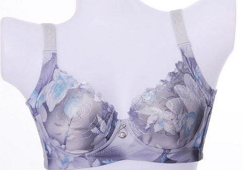 姐妹花內衣